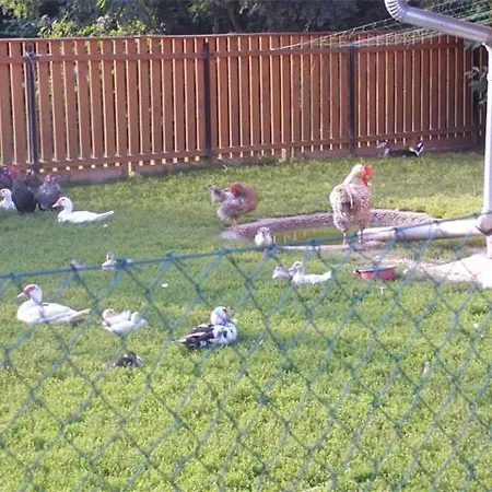 Ezerjo Oekofogado 3* Őriszentpéter