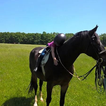 Affittacamere Ezerjo Oekofogado