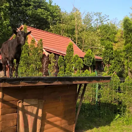 Ezerjo Oekofogado Őriszentpéter