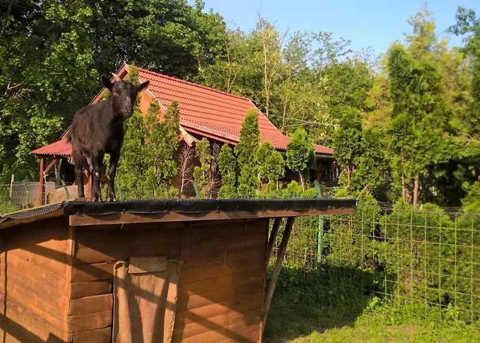 Ezerjo Oekofogado Őriszentpéter